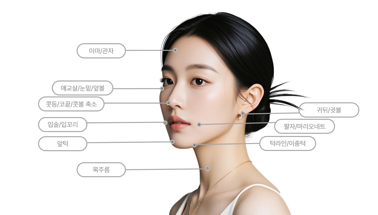 美: FACE > 시술부위